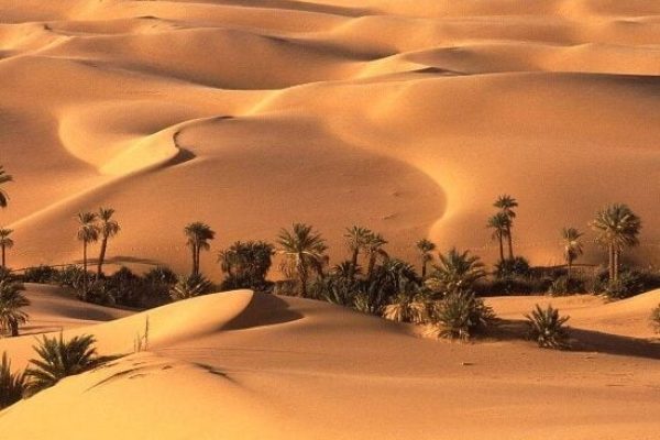 Bahariya-Oasis-550x450