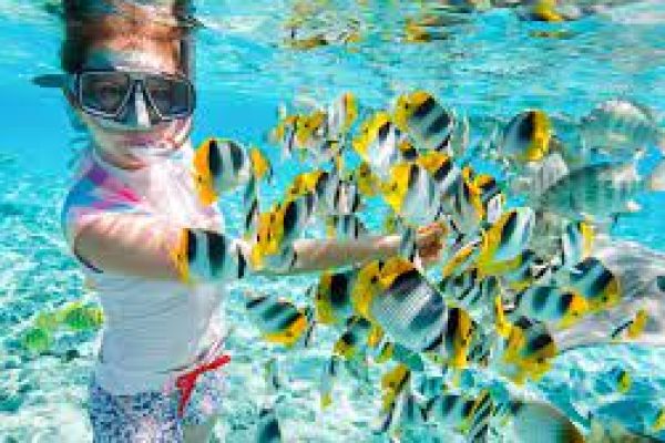 download-2024-03-23T031646.364