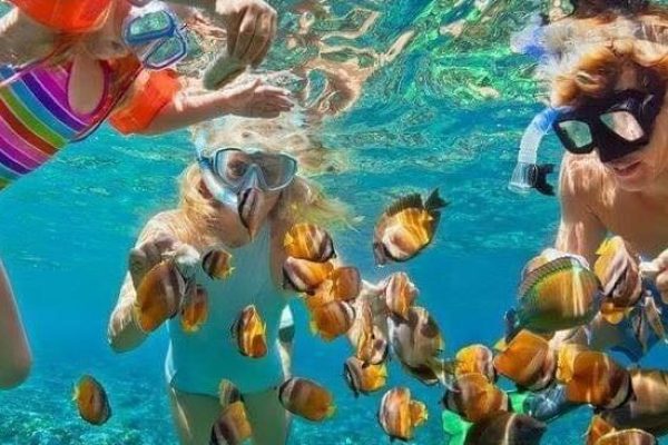 photo_1_2024-03-20_22-06-50-550x640