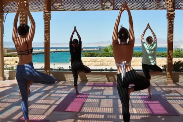 tree-pose-in-egypt-yoga-escapes-550x531